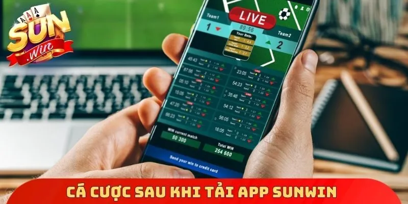 Cá cược sau khi tải App Sunwin