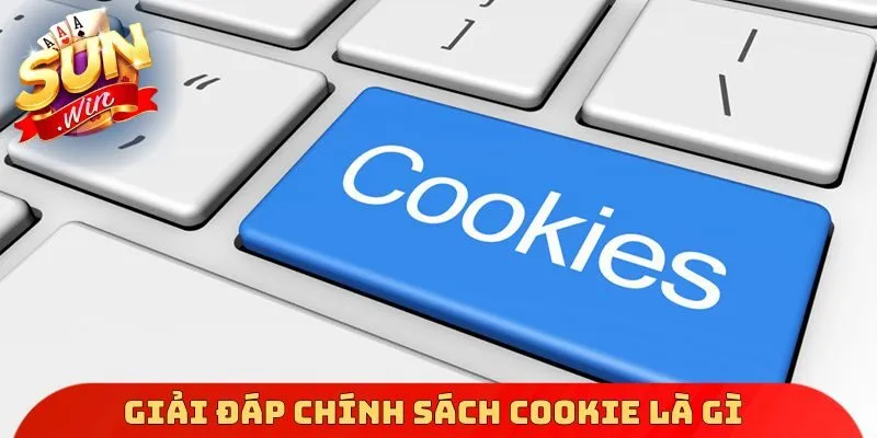 Giải đáp chính sách Cookie là gì