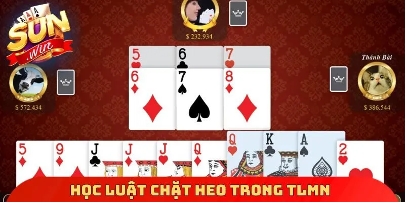 Học luật chặt heo trong TLMN